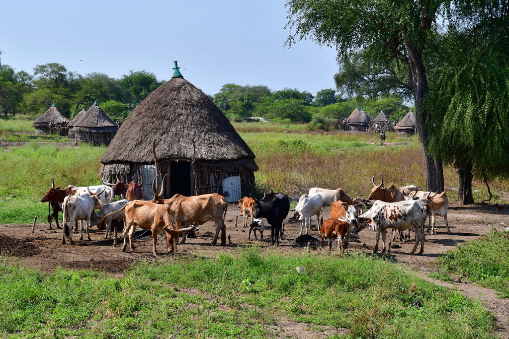 Nuer villages (Gambela)